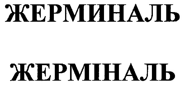 жерминаль