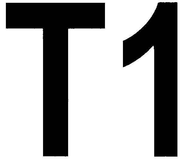 t1