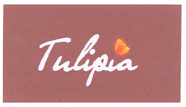 tulipia