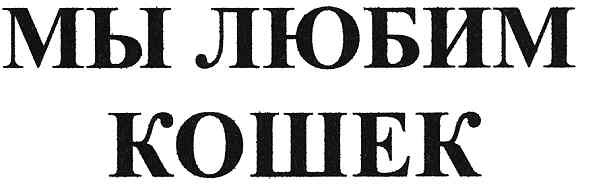 мы любим кошек