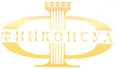 финконсул