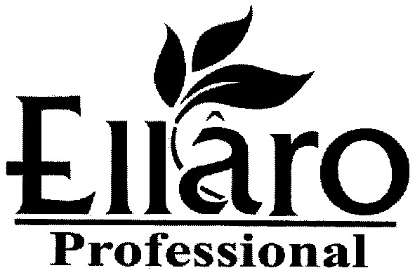 professional
