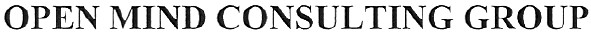 open mind consulting group