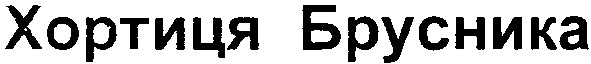хортиця брусника