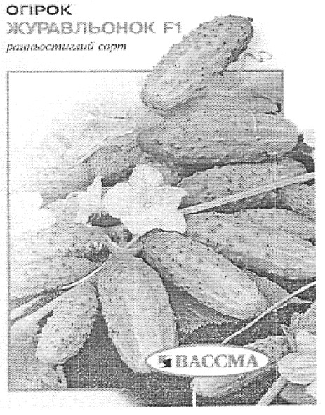 ранньостиглий сорт