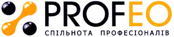 спільнота професіоналів