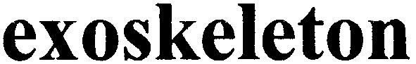 exoskeleton