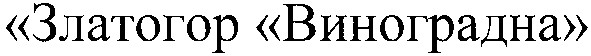 златогор виноградна