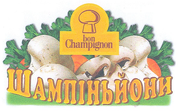 bon champignon