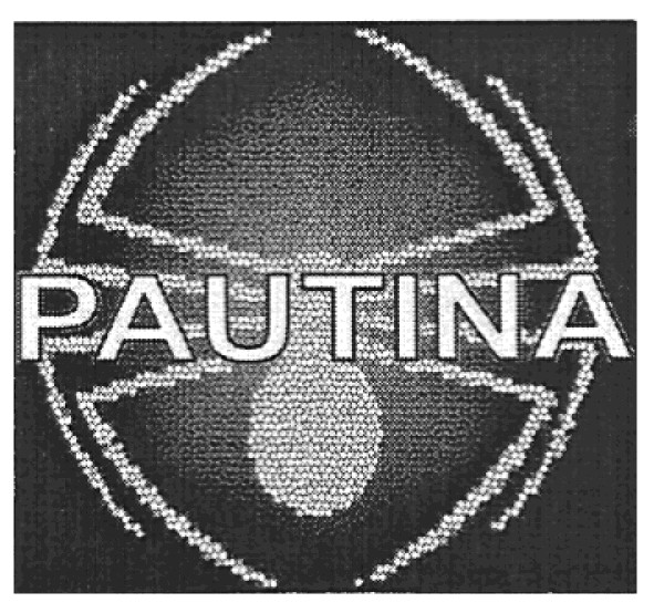 pautina