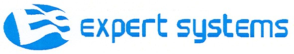 expert systems