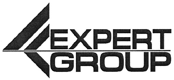expert group