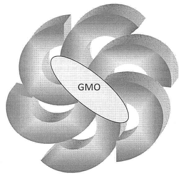 gmo