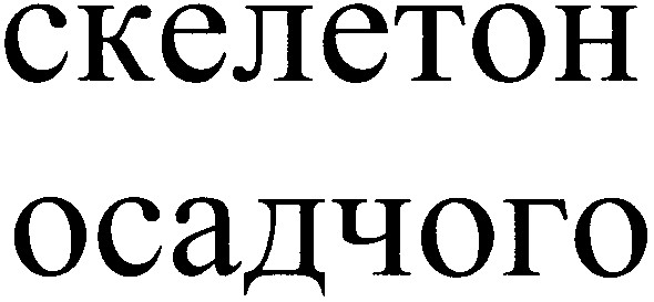 скелетон осадчого