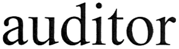 auditor