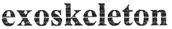 exoskeleton