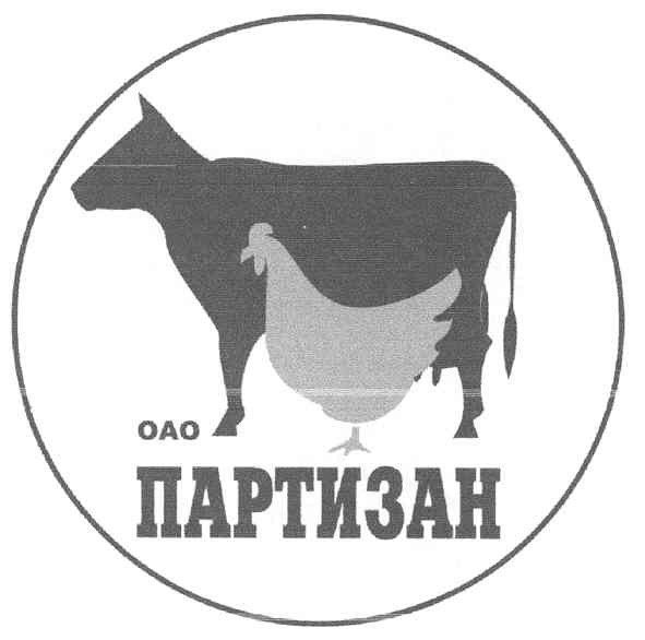 оао партизан