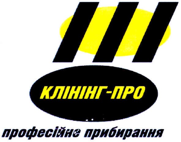 професійне прибирання
