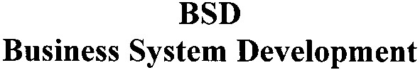 business system development