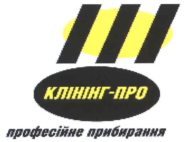 професійне прибирання