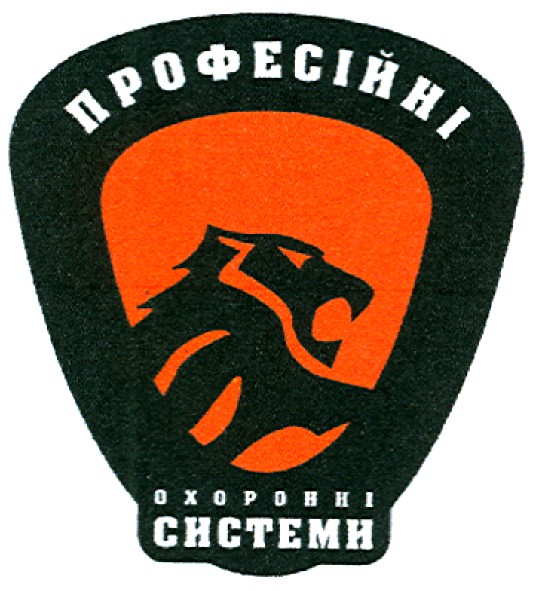 професійні охоронні системи