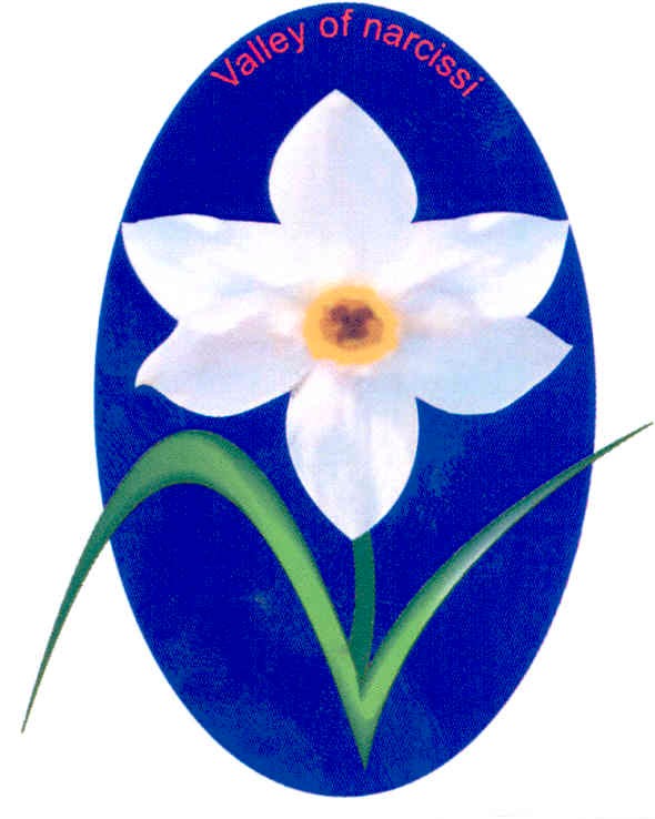 valley of narcissi
