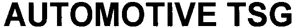 automotive tsg