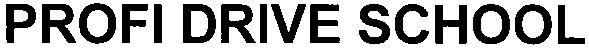 profi drive school