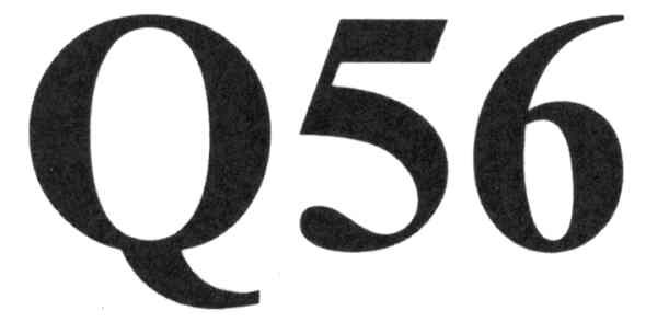 q56