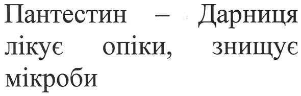 пантестин-дарниця лікує опіки,знищує мікроби