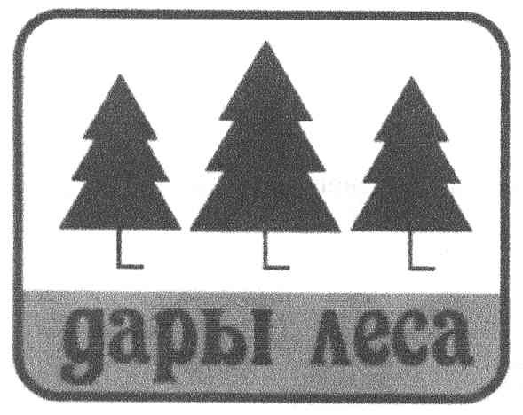 дары леса