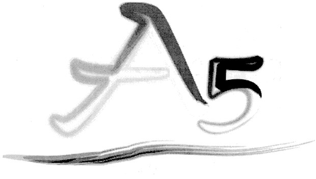 а5