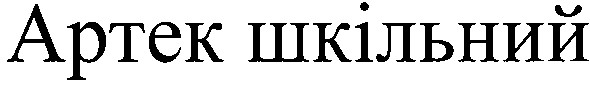 артек шкільний