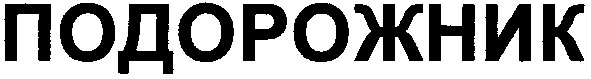 подорожник