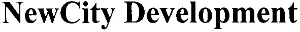 newcity development