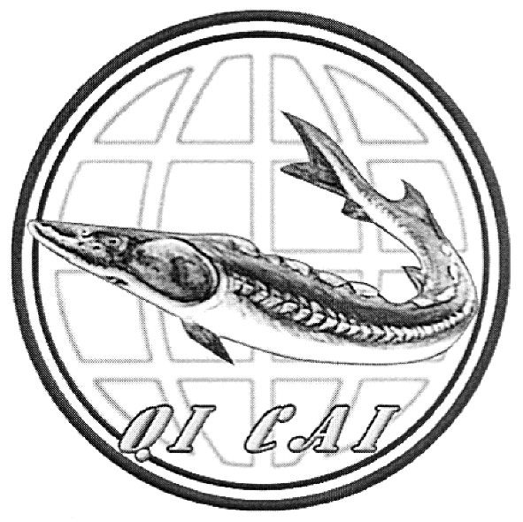 qi cal
