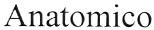 anatomico
