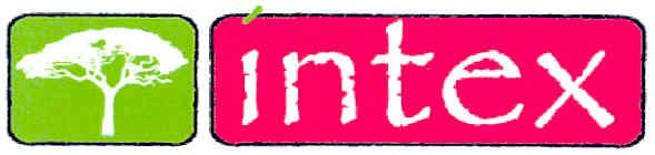 intex