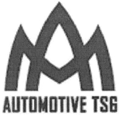 automotive tsg