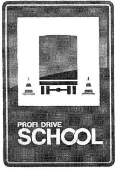 profi drive