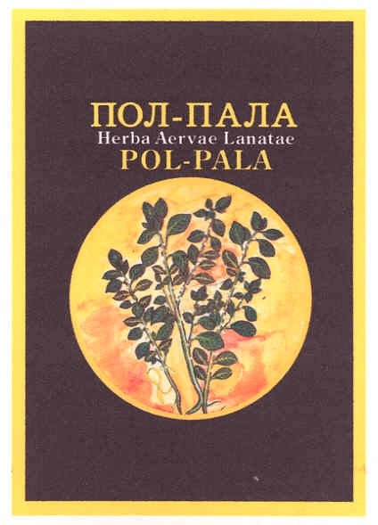 herba aervae lanatae