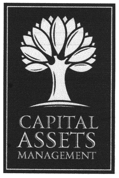 capital assets