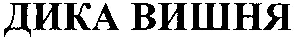 дика вишня