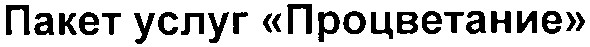 пакет услуг процветание