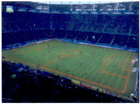Фігуративна марка № m200810783