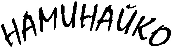 наминайко