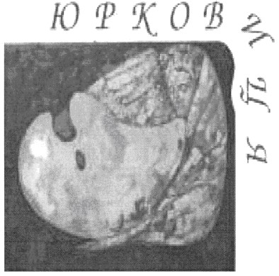 юрковиця