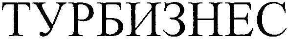 турбизнес