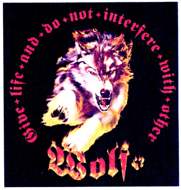 interfere