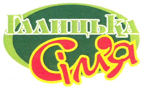 галицька сім`я